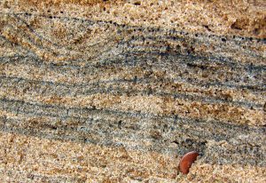 Mineral rich sands